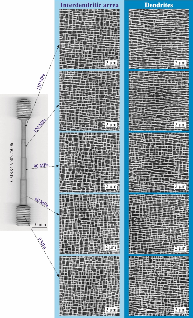 Uniaxial stress CMSX4