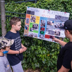 Summer School of "Young Scientists" 2021